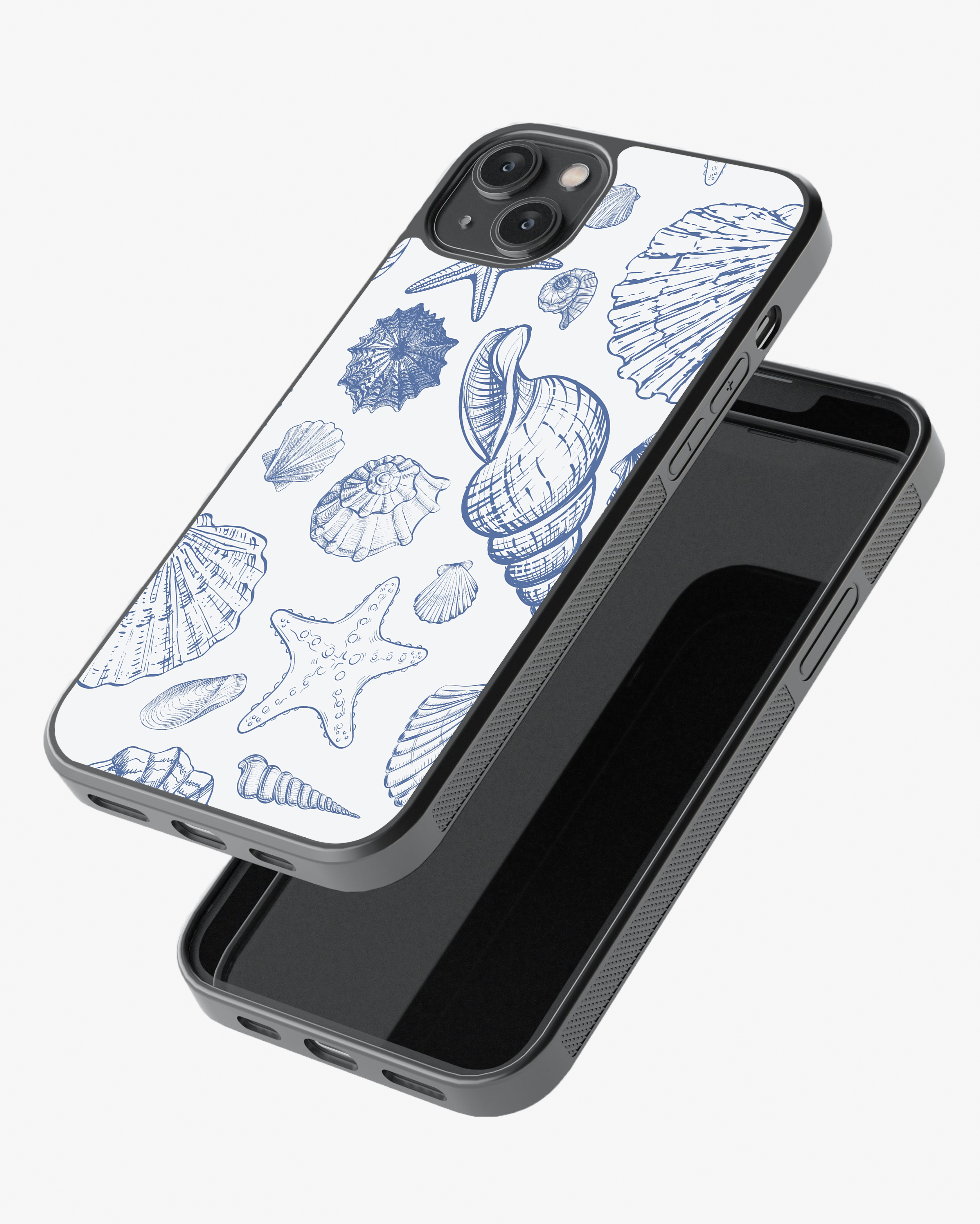 Seashells Glass Case
