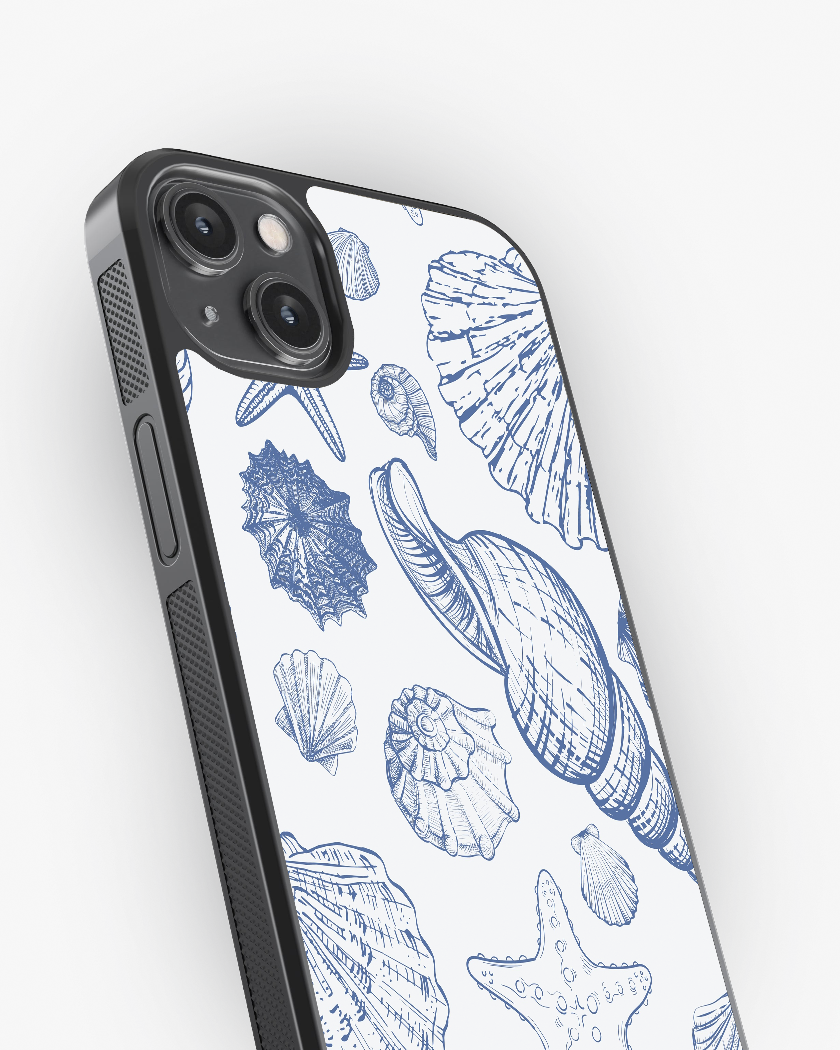 Seashells Glass Case