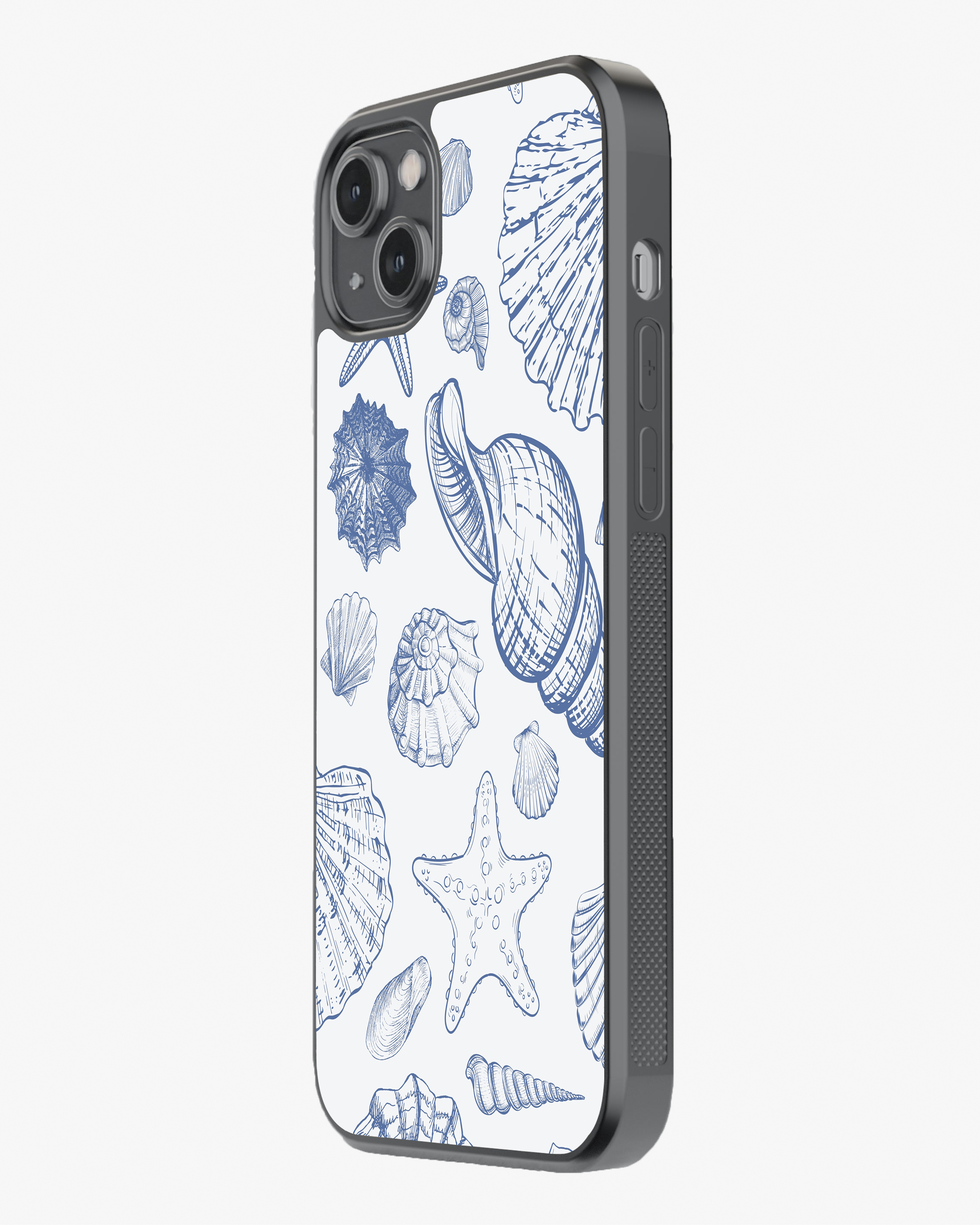 Seashells Glass Case